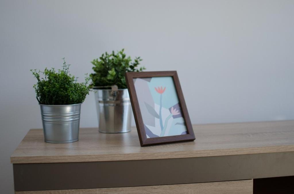 Bright Apartment Near Cismigiu And Old Town Bukarest Kültér fotó
